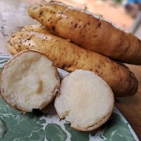 Gembili Ketan fres Pulen Dan Legit Food