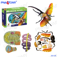 Rhinoceros Beetle Model 4D MASTER 26108 Puzzle Insect Anatomy Toys DIY Animal Products 4D VISION HERCULES BEETLE ANATOMY MODEL