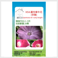 【蔬菜工坊】H54.蔓性牽牛花種子(早輝-20顆)