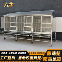 免運雞籠 鴨籠 雞籠子 養殖籠 大牛不銹鋼雞籠家用室外大型養雞籠養殖籠大號雞籠子戶外雞舍定制 八折下殺 限時優惠 可開發票 加店長賴有驚喜