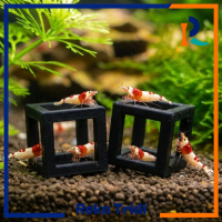 Shrimp Shelter Cube / Tempat Sembunyi Shrimp Kotak Plastik