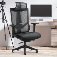 【E-home】Dustin達斯丁高階底盤德國網人體工學電腦椅 黑色(全網辦公椅 辦公椅 人體工學椅)
