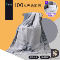 岱思夢 台灣製 天絲涼被 100%天絲萊賽爾 4x5尺 空調被 冷氣被 多款任選 贈3M防潑水抗菌枕套2入