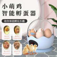 孵蛋器 孵化器 【蘆丁雞孵化】孵蛋器 迷你小雞孵化器 小型家用孵化機智能孵化箱 全館免運