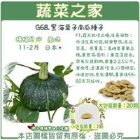 【蔬菜之家】G68.黑海栗子南瓜種子(共有2種包裝可選)