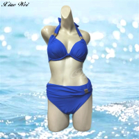 【小薇的店】名人品牌流行大女二件式鋼圈比基尼泳裝(NO.Z17011-13)