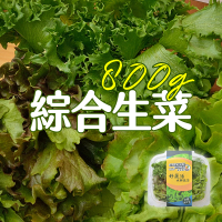 【合家歡 水耕蔬菜】綜合生菜盒800g(宅配 水耕 萵苣 生菜)