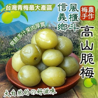 【粿女兒商行】 🔥現貨 高山巨無霸脆梅 300g 信義鄉風櫃斗脆梅