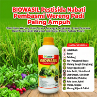 BIOWASIL Pestisida Nabati Pembasmi Wereng Padi Paling Ampuh | Obat Hama Wereng, Kutu Daun & Serangga
