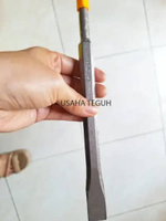 Mata Bor Colok SDS PLUS INGCO