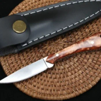 Small Shark Mini Straight Fixed Blade Knife 9Cr18MOV Blade Acrylic Handle Tactical Pocket Hunting EDC Survival Tool Knives