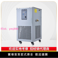 廠家直銷低溫冷卻液循環泵實驗室恒溫反應浴冷水機循環槽