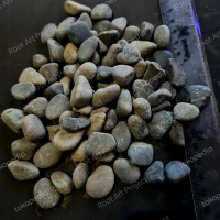 Batu Koral Hitam Batu Hias Taman Tanaman/Aquascape