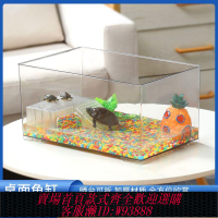 烏龜缸 【1820人收藏】新款六角恐龍魚缸烏龜缸超白魚缸水草缸海水缸龜缸生態桌面缸造景