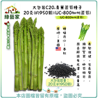 【綠藝家】大包裝C20.青莖蘆筍種子20克(約950顆)(UC-800加州蘆筍)