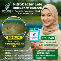 Bluegreen Biotech Nitrobacter Ikan Lele Budidaya Ikan Lele & Perikanan Menjernihkan Air & Meningkatk