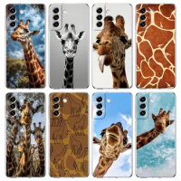 giraffe Phone Case For Samsung Galaxy S24 S23 S22 S20 Ultra S21 FE 5G S10 S9 Plus S10E S8 Soft Silicone Clear Cover