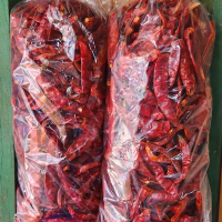 cabe kering super pedas