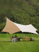 蝶形黑膠六角天幕帳篷戶外野餐露營裝備用品超大野營防雨遮陽棚