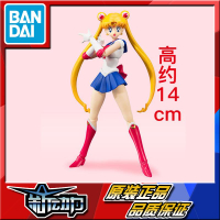 {可刷卡 打統編}現貨  萬代 SHF 美少女戰士 水兵月 月野兔 動畫配色 30周年