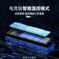 雷克沙NM620 M.2固態硬盤1T 512g臺式機Nvme硬盤2T筆記本電腦SSD[領邦五金配件]