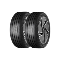 【GOODYEAR 固特異】輪胎固特異 ECD-2554520吋_二入組_255/45/20(車麗屋)