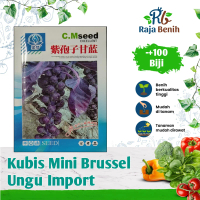 Benih Kubis Mini Brussel Ungu import KEMASAN ORIGINAL (100 biji)