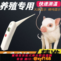 【可開發票】豬獸用電子體溫度計 高精度寵物狗貓牛羊養殖場專用快速測量儀表