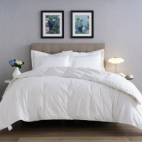 【WEDGWOOD】80/20雅品白鵝絨 抗菌羽絨冬被 棉被(加大 240x210cm)