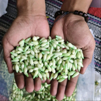 COD Bahan ronce Melati Artificial