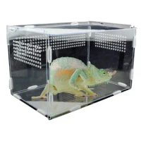 Reptile Breeding Box Lizard Centipede Spider Chameleon Terrarium Ornamental Box Acrylic Terrarium Transparent Box Pet Supplies
