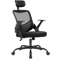 High Back Office Chair Height Adjustable Desk Chair Mesh Ergonomic Computer Chair Comfortable Headrest,Black
