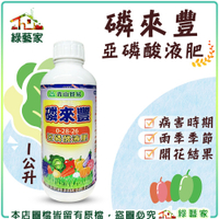 【綠藝家】磷來豐亞磷酸液肥1公升 (原料：亞磷酸、氫氧化鉀) // 肥料 病害 病菌 根系發展 植物打