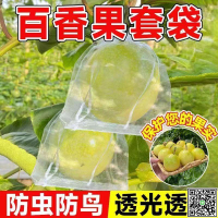 百香果專用水果套袋防鳥袋通用袋瓜果防蟲專用套袋果蔬套袋育果袋-UM.有米家居