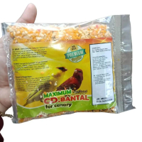 EGG FOOD CD KENARI SUMBER PROTEIN DAN EF UNTUK KENARI CEPAT GACOR