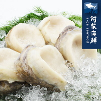 【阿家海鮮】生凍智利大鮑魚 180g±10%/單顆(規格4/6)