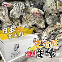 【一手鮮貨】日本宮城縣生食級牡蠣_L(整箱10kg/單顆80g~100g/一年生/生蠔/牡蠣)