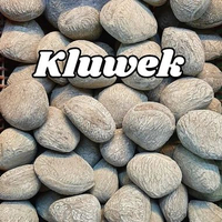 Kluwek / Kepayang Untuk Bumbu Rawon, sop konro, brongkos, dan soto grombyang 500 gr