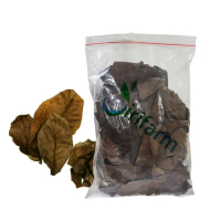 Daun Ketapang Kering Pakan Udang / Lobster Obat Ikan Hias 50g (11892)
