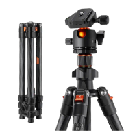 【K&F Concept】K254C2+BH-36L 碳纖維輕巧型三腳架 球型雲台 可承重8公斤(KF09.123)
