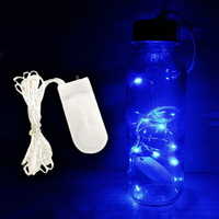 1米10燈線串燈-藍光 LED燈佈置燈 戶外裝飾照明景觀燈 DIY聖誕燈樹燈圍牆掛燈