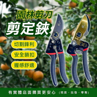 【現貨】園藝剪刀 花剪 剪定鋏 園林剪刀 修枝剪 樹枝剪 果樹剪 採果剪 園藝剪 盆栽鋏 園藝 五金 農用剪刀 興雲網購