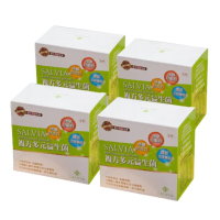 【SALVIA】Salvia複方多元益生菌4盒120包(含專利好菌酵素葉黃素維生素B維生素C的益生菌)