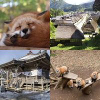 【吉航旅遊】精緻假期~東北會津鐵道.松島遊船.大內宿.銀山溫泉街.藏王御釜三晚溫泉5日-星宇航空