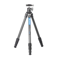 【Leofoto 徠圖】LS-224C+LH-25R碳纖三腳架-含中軸
