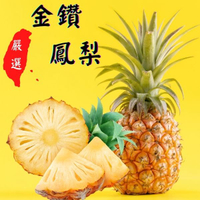 嚴選頂級金鑽鳳梨(7斤/20斤) 台農17號．台灣小農｜緁迪水果JDFruit 高級水果店"