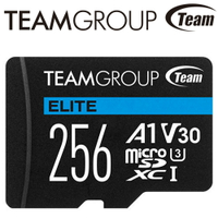 Team 十銓 256G 256GB microSDXC TF UHS-I U3 A1 V30 記憶卡