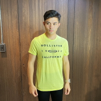 美國百分百【全新真品】 Hollister Co. T恤 HCO 短袖 T-shirt 海鷗 logo 黃色 AH49