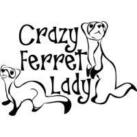 13.5*9.4cm Crazy Ferret Lady Decal Window Bumper Sticker Car Decor Pet Ferrets Love Furry Vinyl Hobb