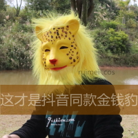 金錢豹面具老虎頭套搞笑搞怪動物面罩發財豹抖音網紅同款可愛無味